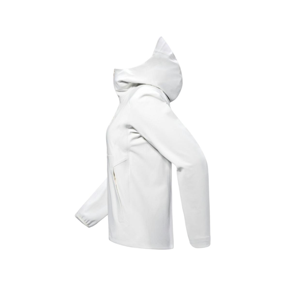 Arcteryx Womens Gammax Hoody