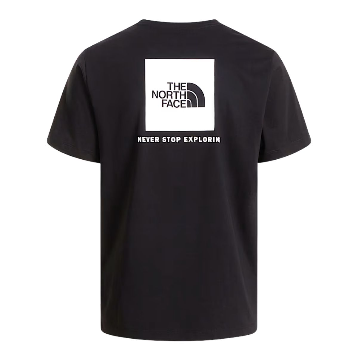 The North Face Mens NSE Reg SS Tee-Graphic