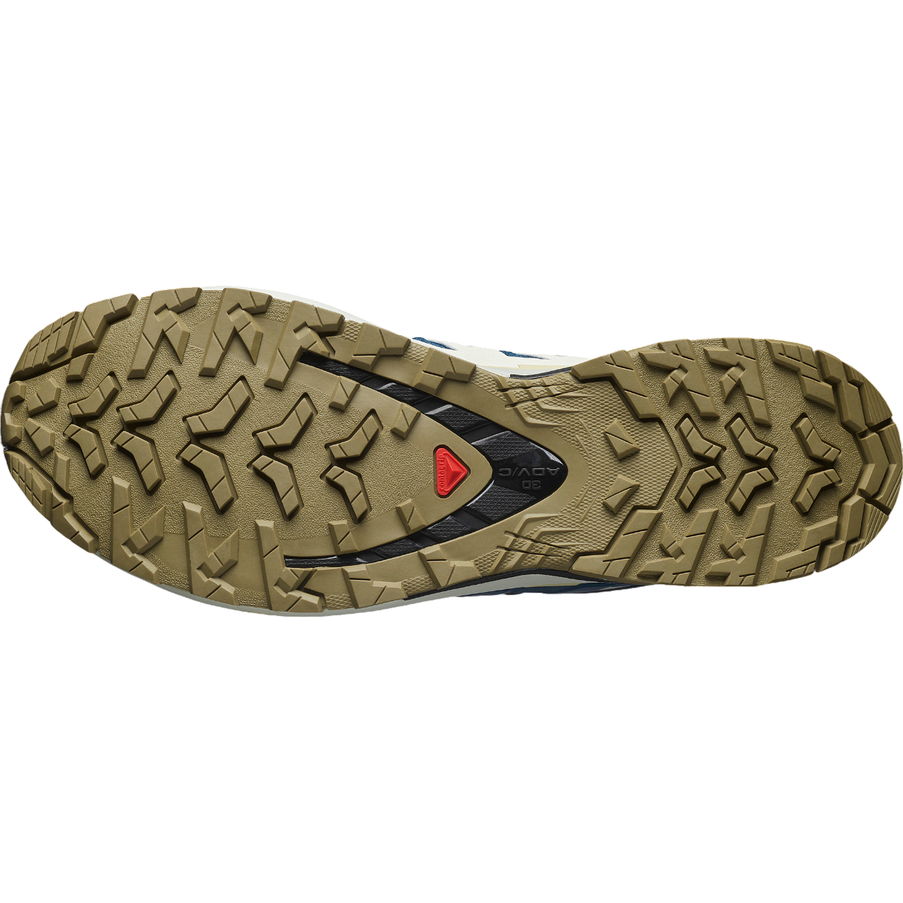 Salomon XA PRO 3D V9 GTX 