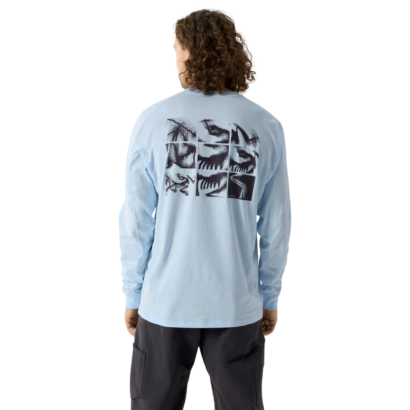 Arcteryx Mens Kragg SL Cotton Bird Tile LS