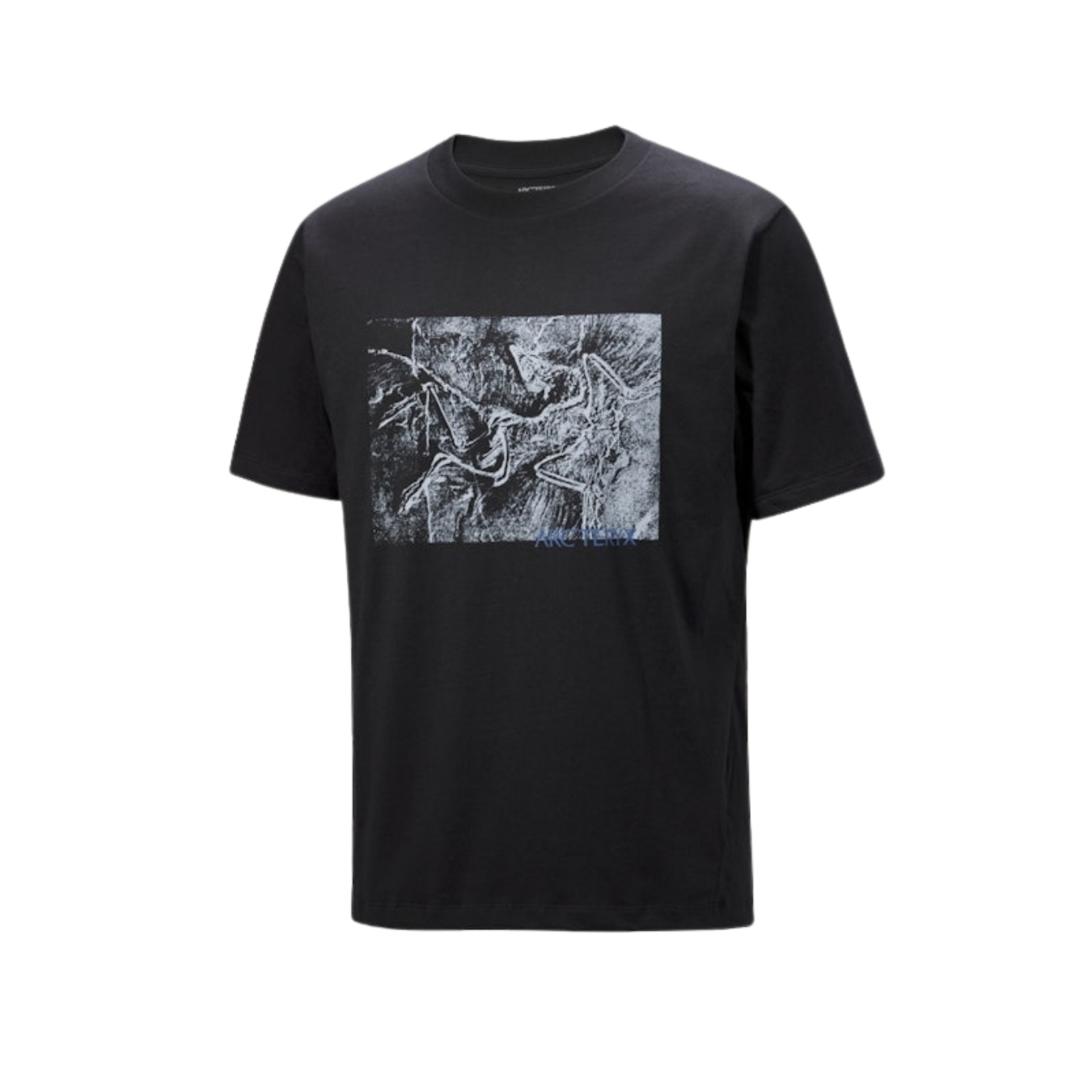 ArcTeryx Mens Kragg Cotton Lithographica SS