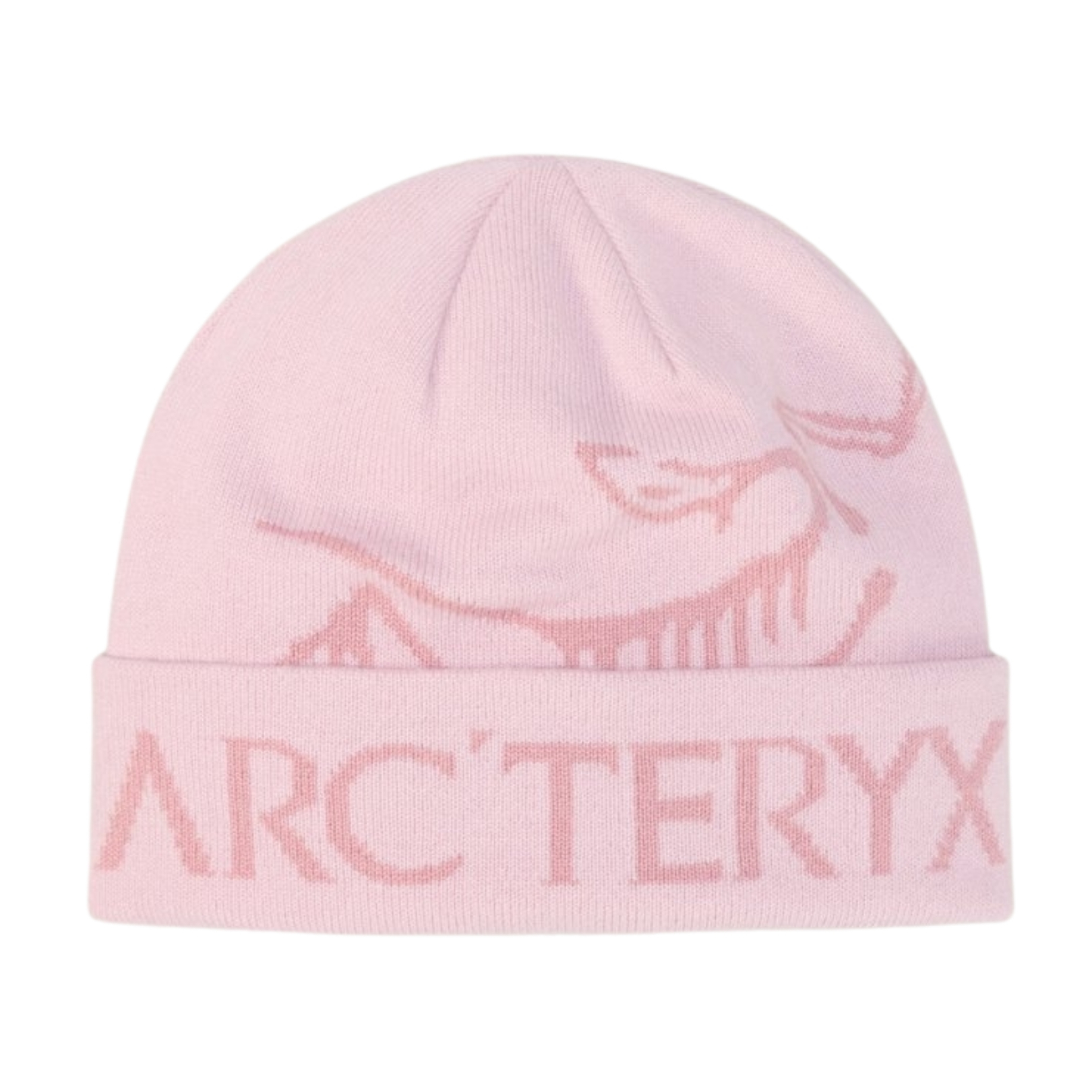 ArcTeryx Bird Word Toque