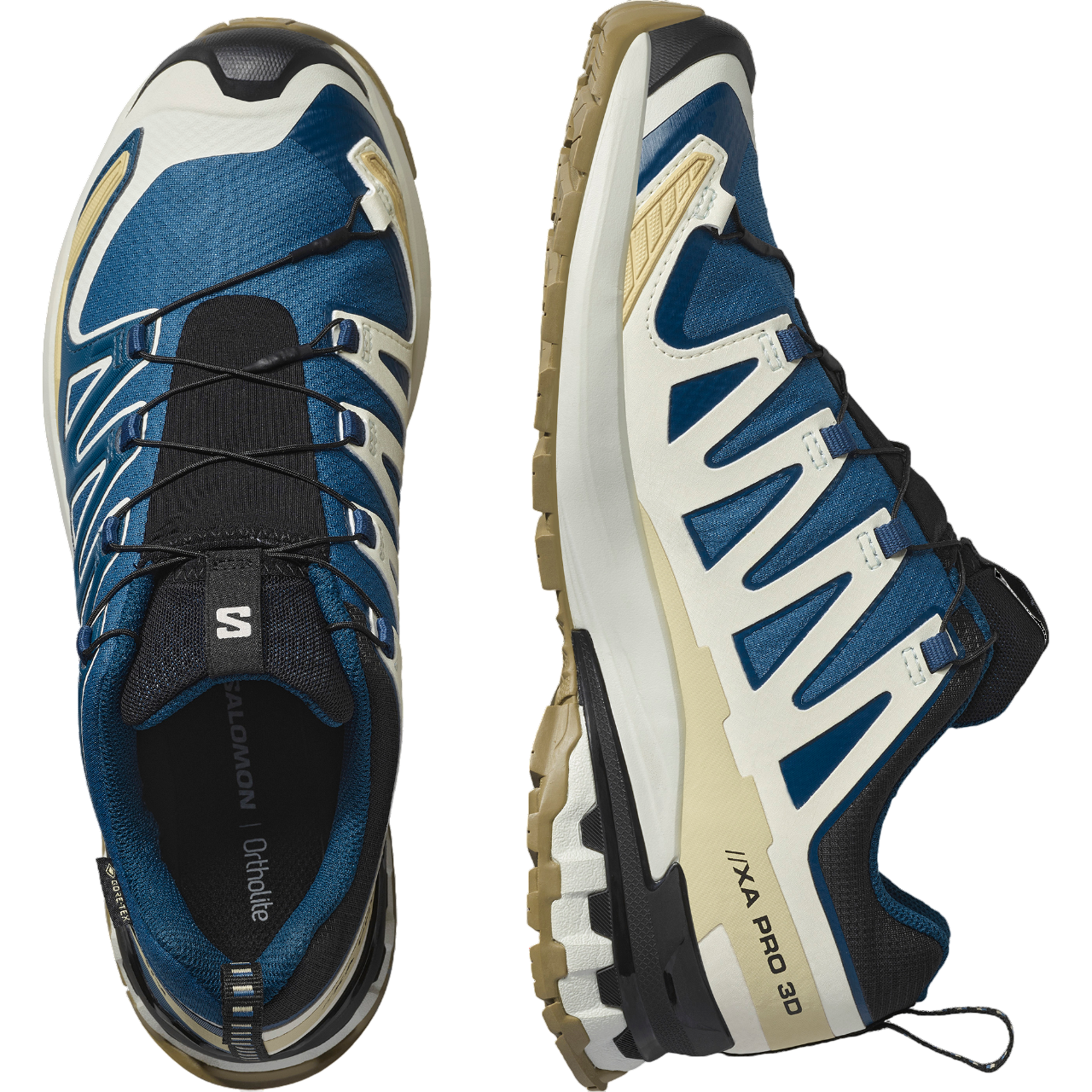 Salomon XA PRO 3D V9 GTX 