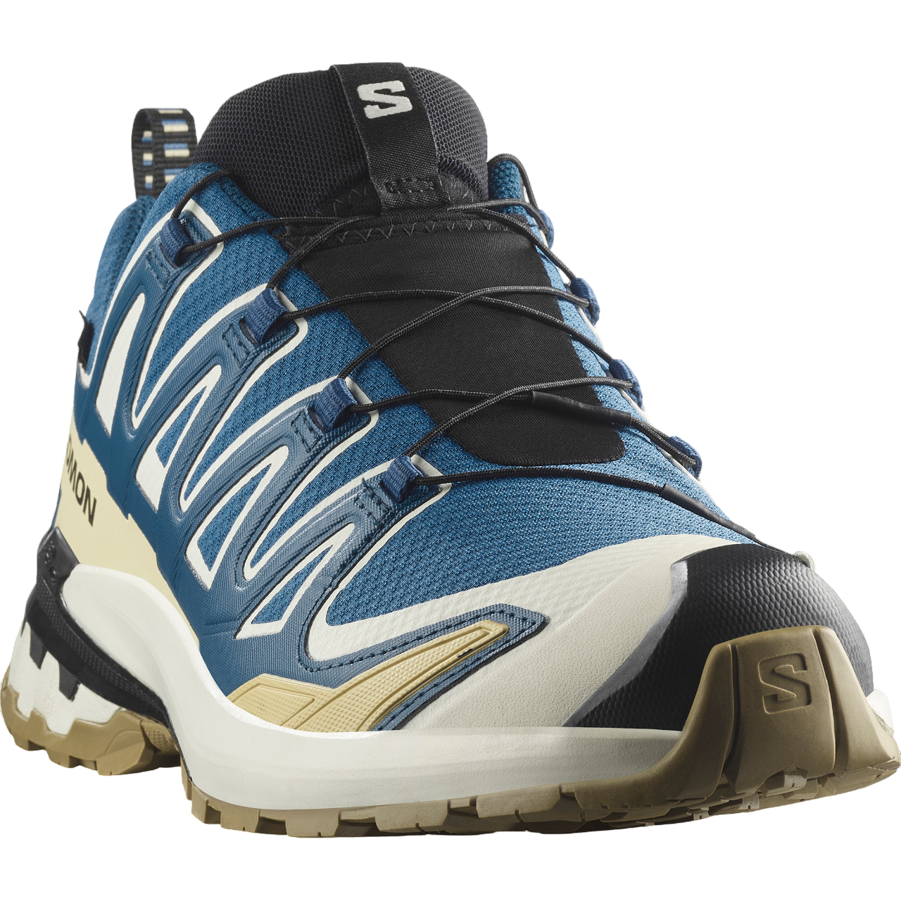 Salomon XA PRO 3D V9 GTX 
