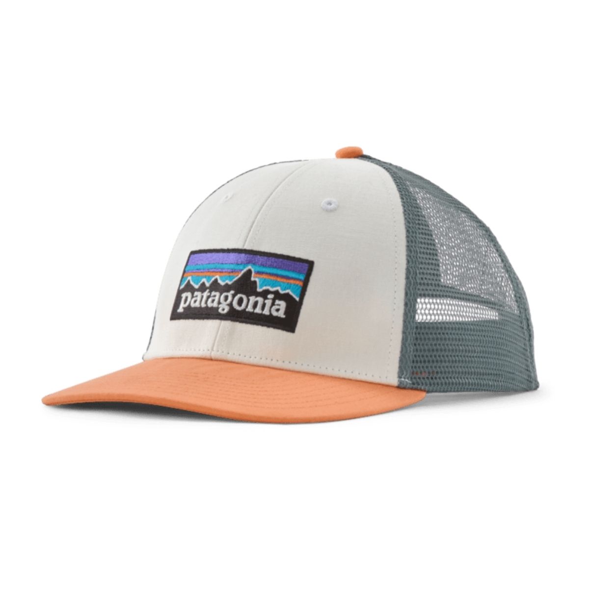 Patagonia P_6 Logo LoPro Trucker Hat