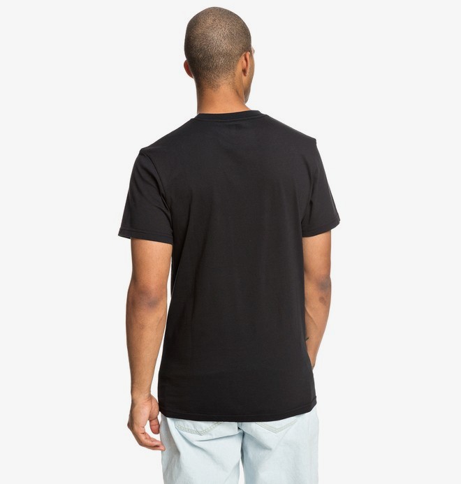 DC Shoes M Star SS 2 Tee 2019 DC Shoes M Star SS 2 Tee 2019